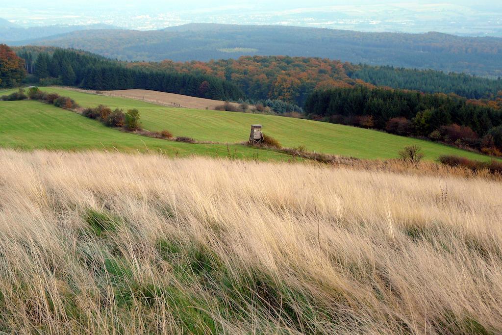 Gaestehaus Am Raeuschenberg Höxter Dış mekan fotoğraf